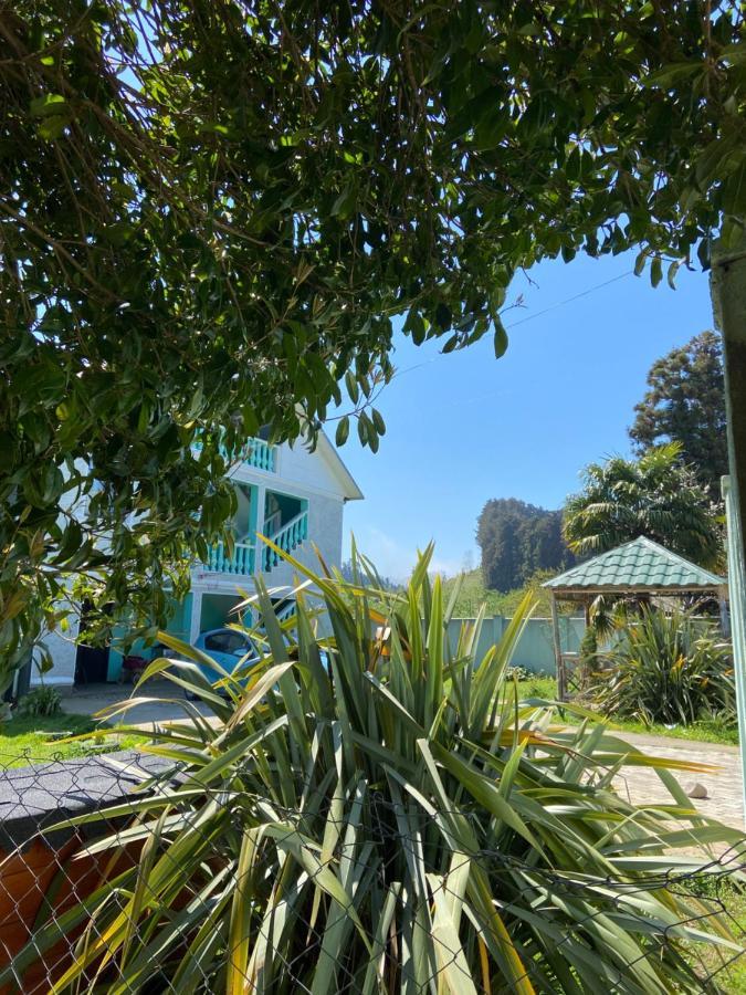 Homestay In Batumi Дом В Чакви المظهر الخارجي الصورة
